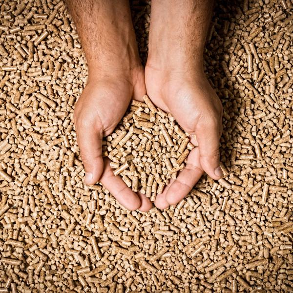 iStock-661627038 iStock-661627038