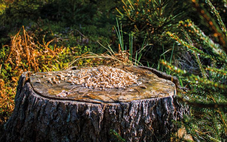 Lose_Heizinos_Pellets_Baumstumpf Lose_Heizinos_Pellets_Baumstumpf