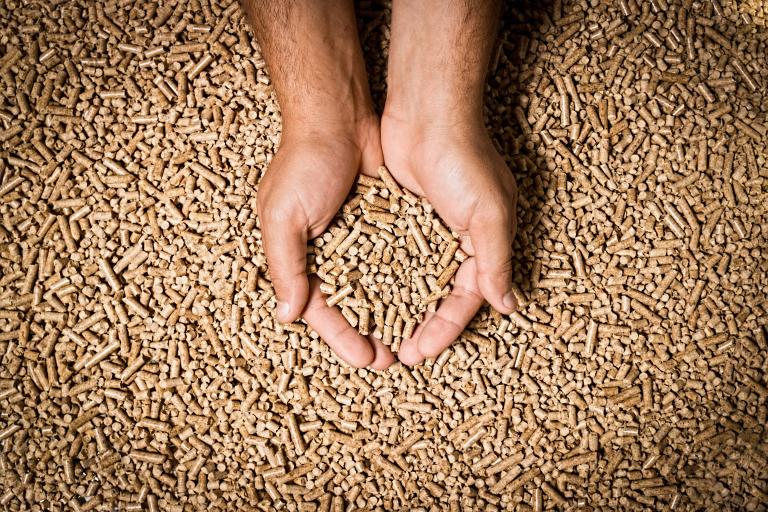 iStock-661627038 iStock-661627038